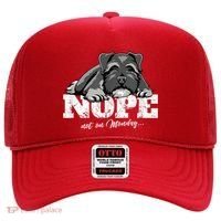 Funny Miniature Schnauzer Dog Gift Schnauzer Nope Breed Gift Hat thumb 0
