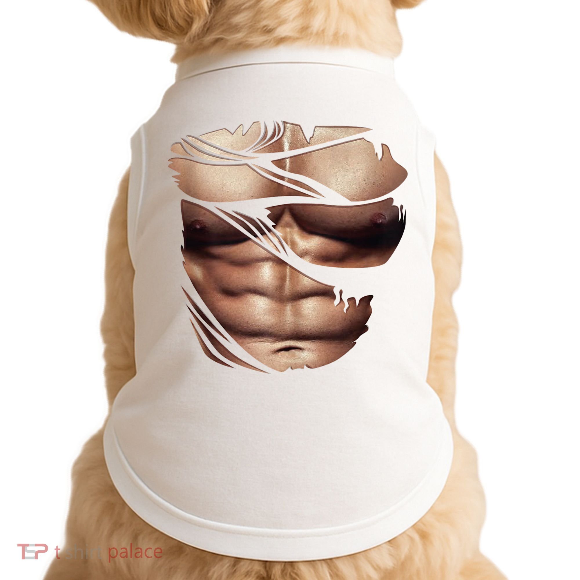 Fake Muscles Six Pack Abs Ripped Chest Fake Bodybuilding Doggie Tank