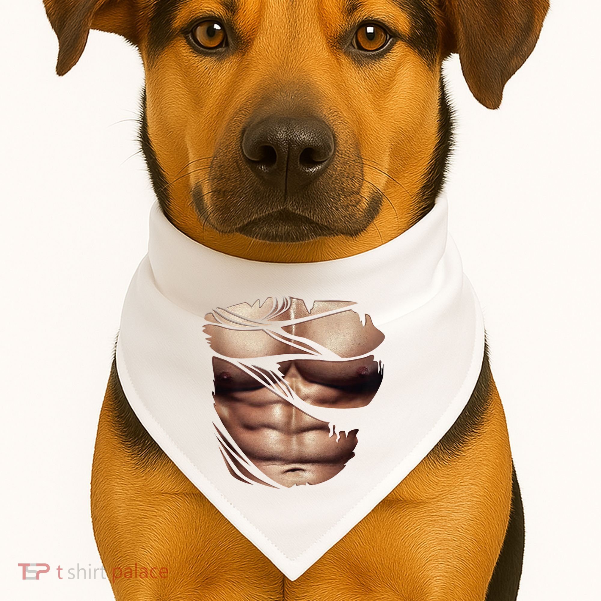 Fake Muscles Six Pack Abs Ripped Chest Fake Bodybuilding USA-Made Doggie Bandana
