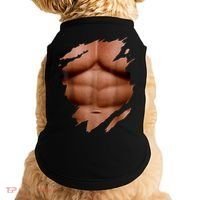 Fake Muscles Six Pack Abs Ripped Chest Fake Bodybuilding Doggie Tank thumb 0