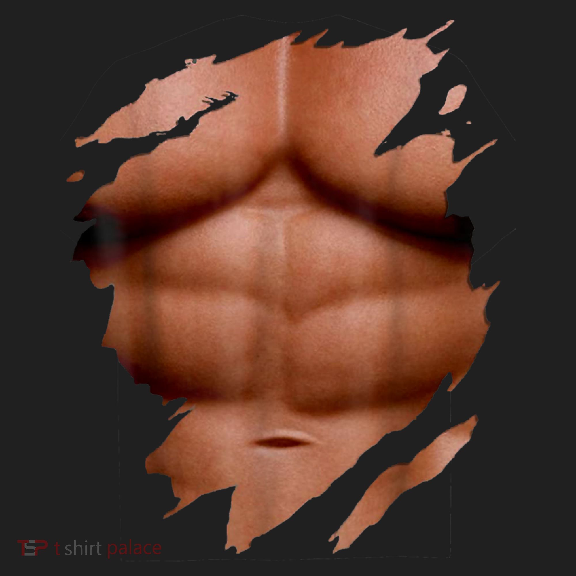 Fake Muscles Six Pack Abs Ripped Chest Fake Bodybuilding Tumbler