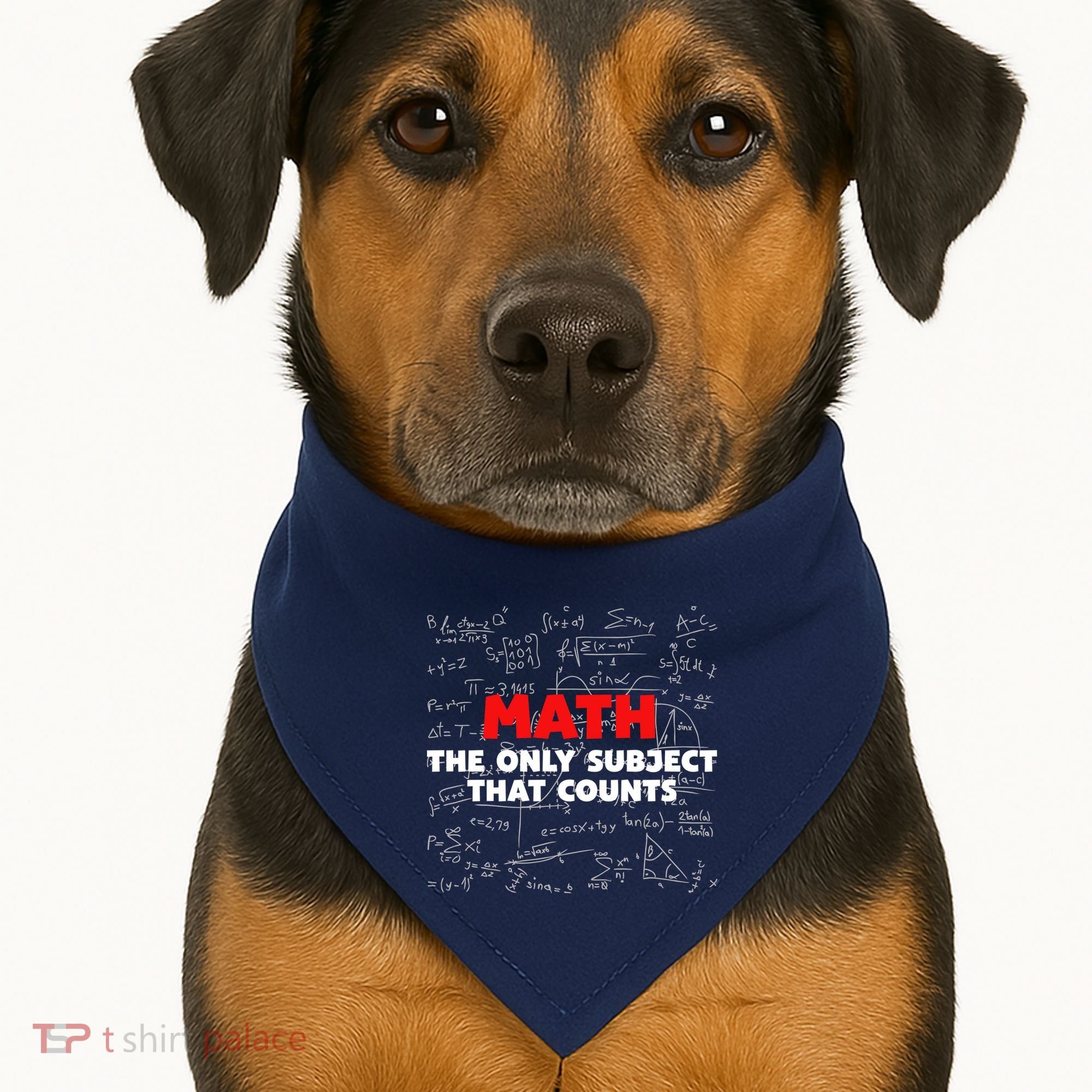Funny Math The Only Subject That Counts USA-Made Doggie Bandana