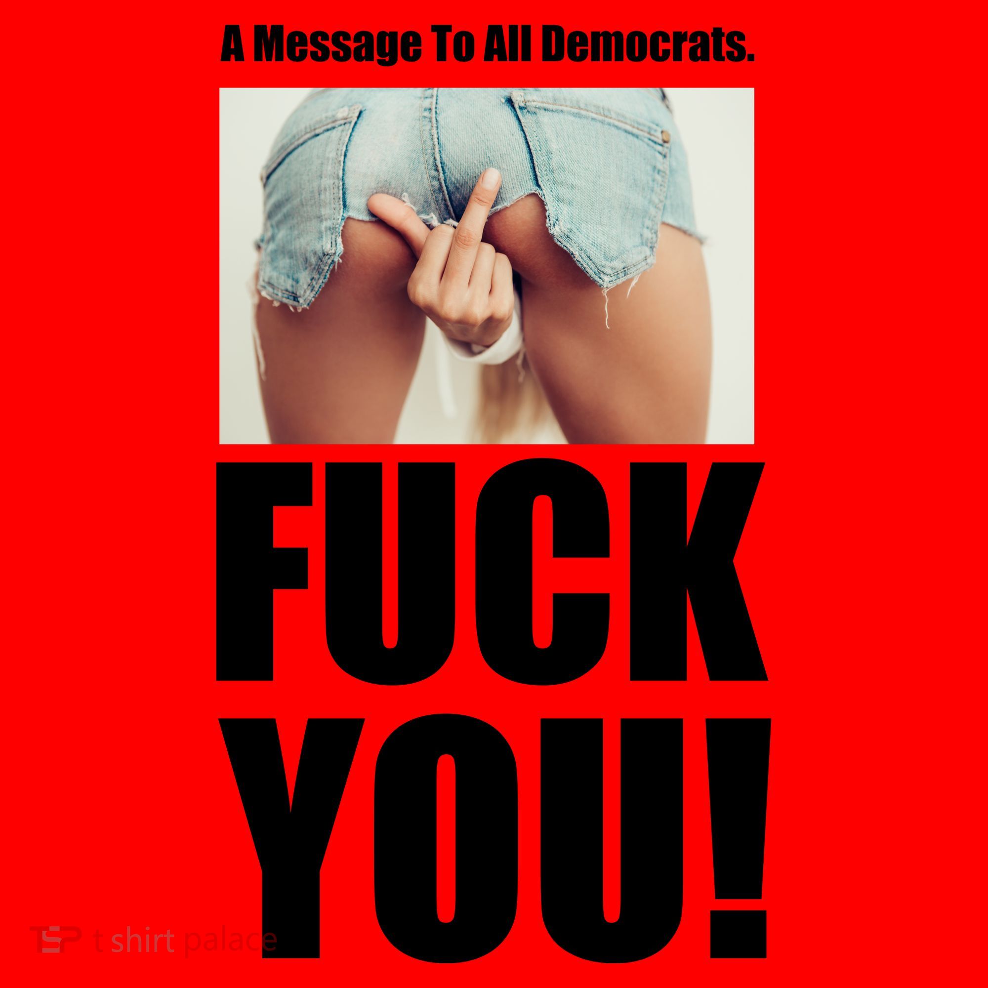 Funny Message To Democrats Santa Hat