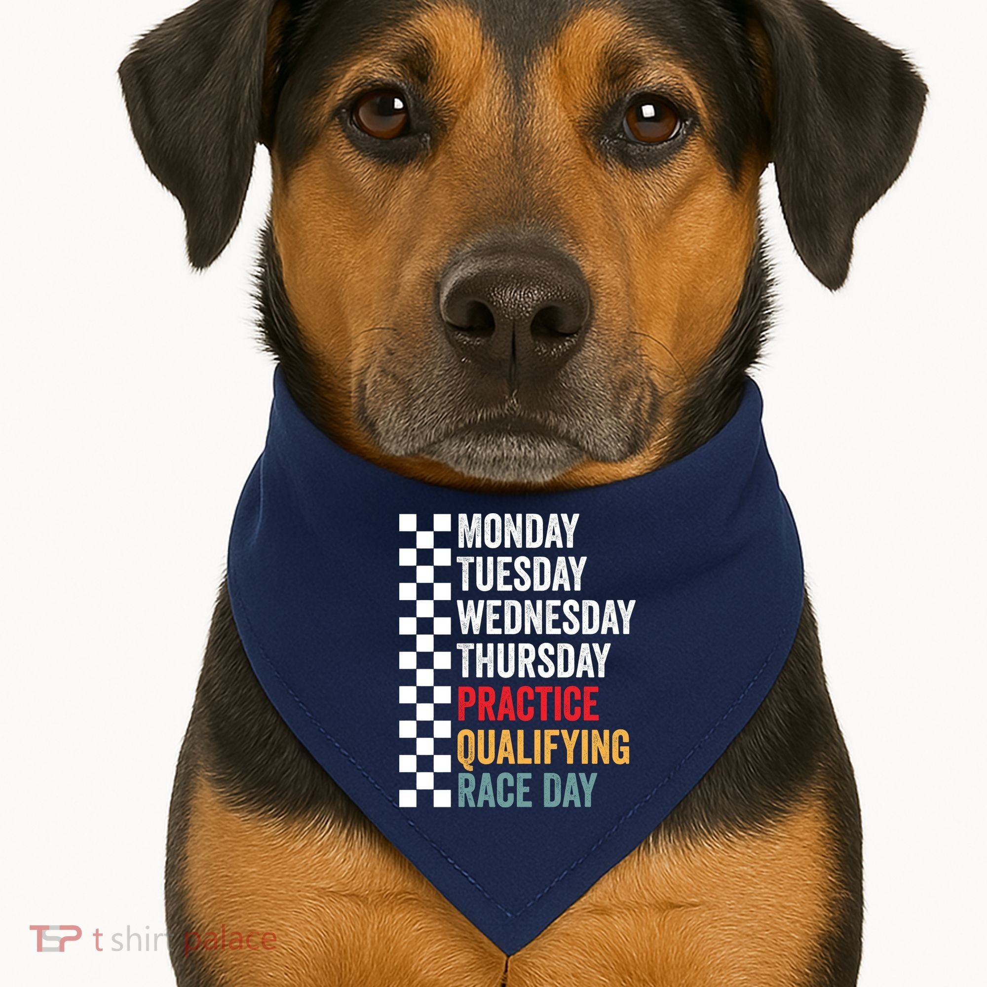 Funny Monday Tuesday Thursday Practice Qualifying Race Day USA-Made Doggie Bandana
