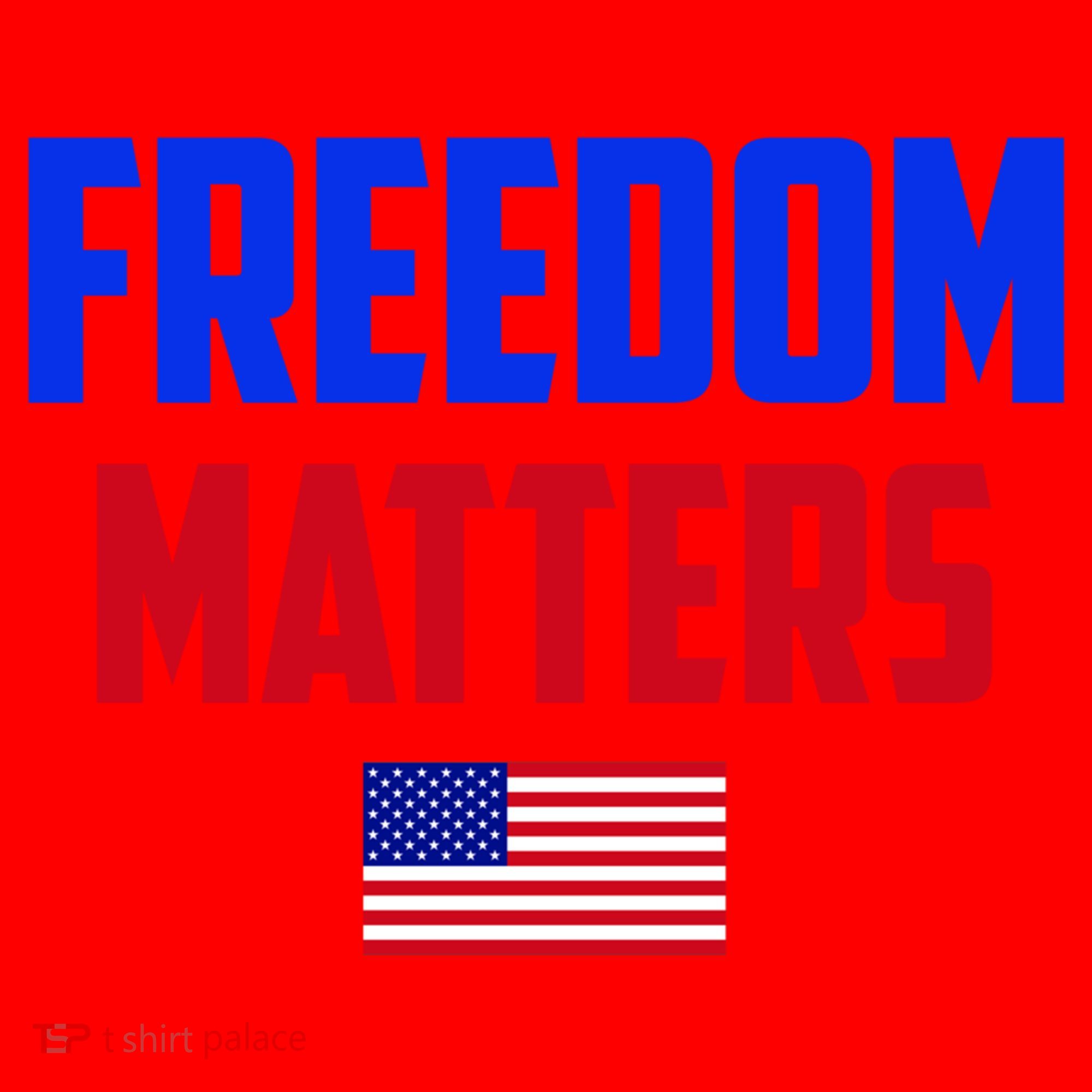 Freedom Matters Usa Flag American Flag Veteran's Day Great Gift Santa Hat