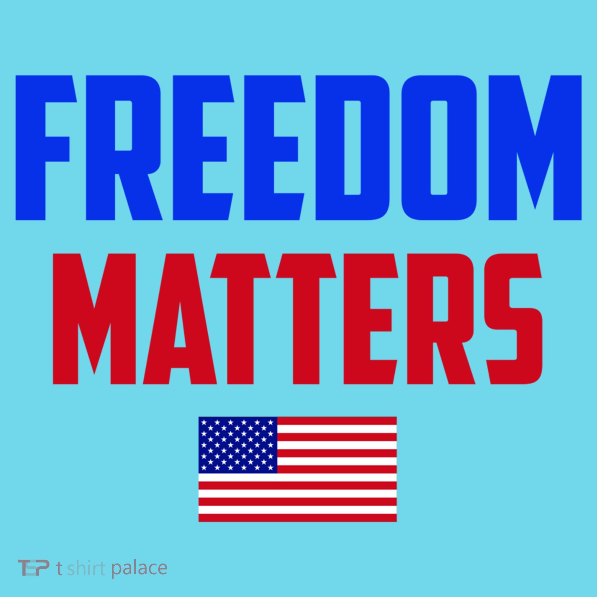 Freedom Matters Usa Flag American Flag Veteran's Day Great Gift Long Sleeve Shirt