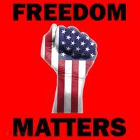 Freedom Matters USA American Fist Santa Hat thumb 1