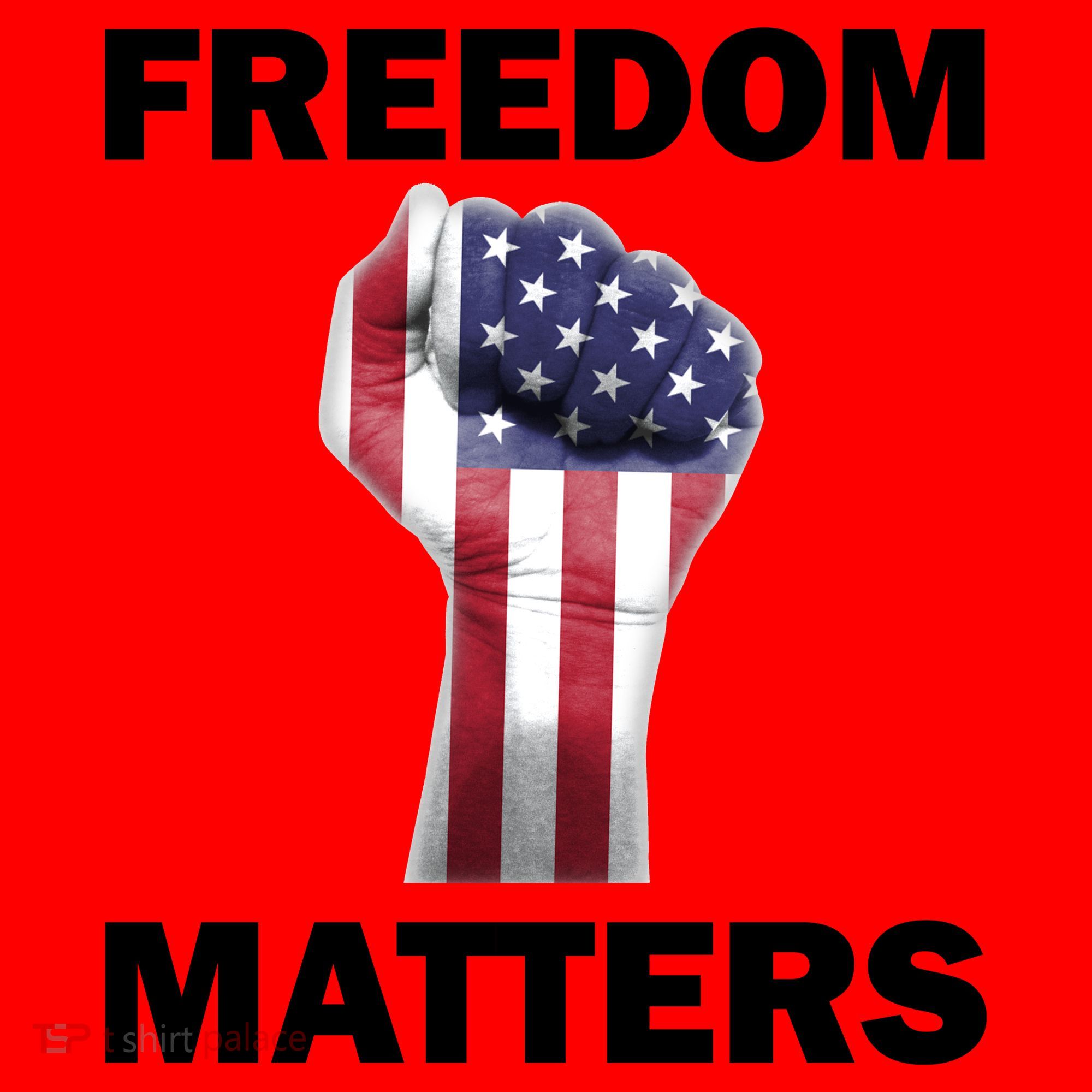 Freedom Matters USA American Fist Santa Hat