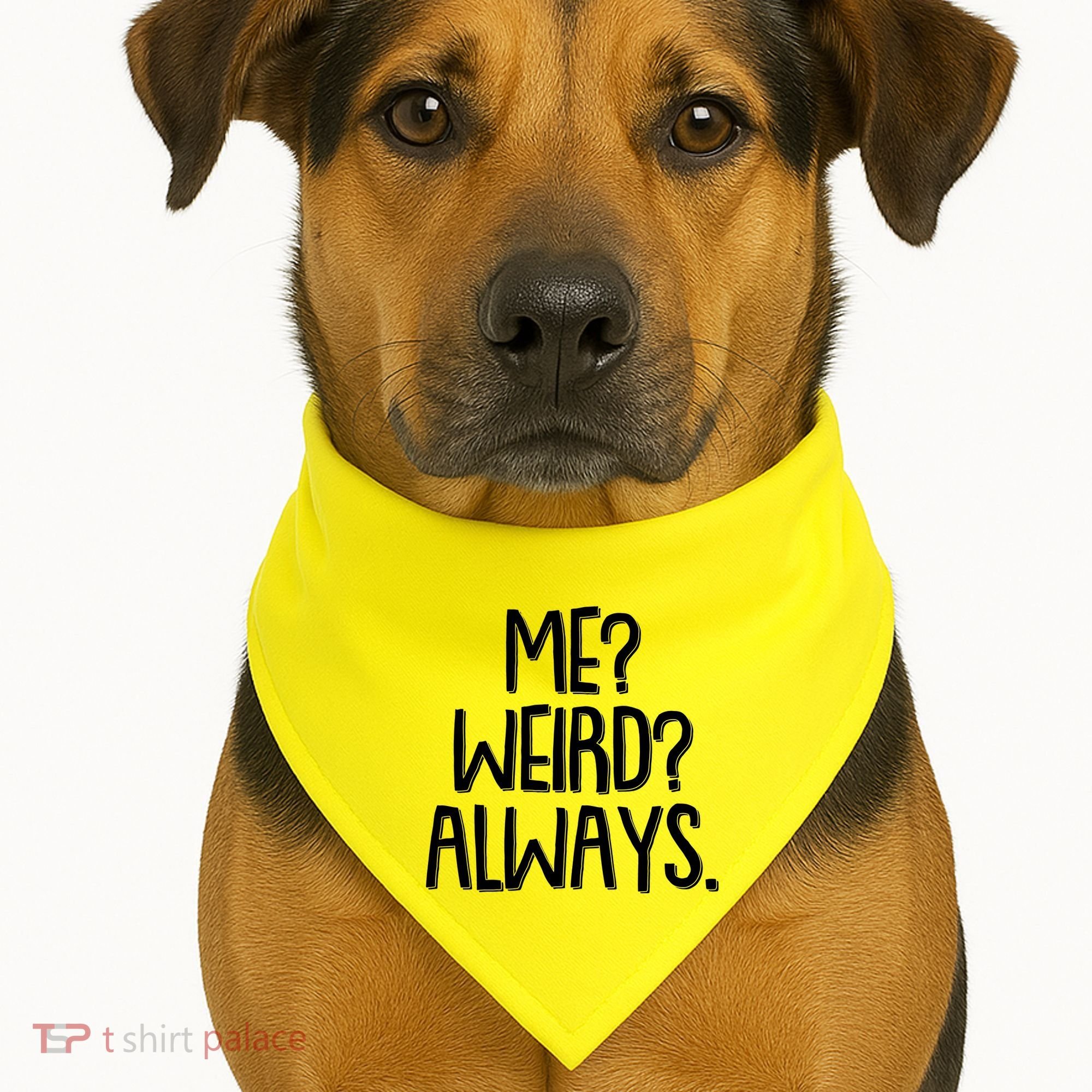 Funny Me? Weird? Always. USA-Made Doggie Bandana
