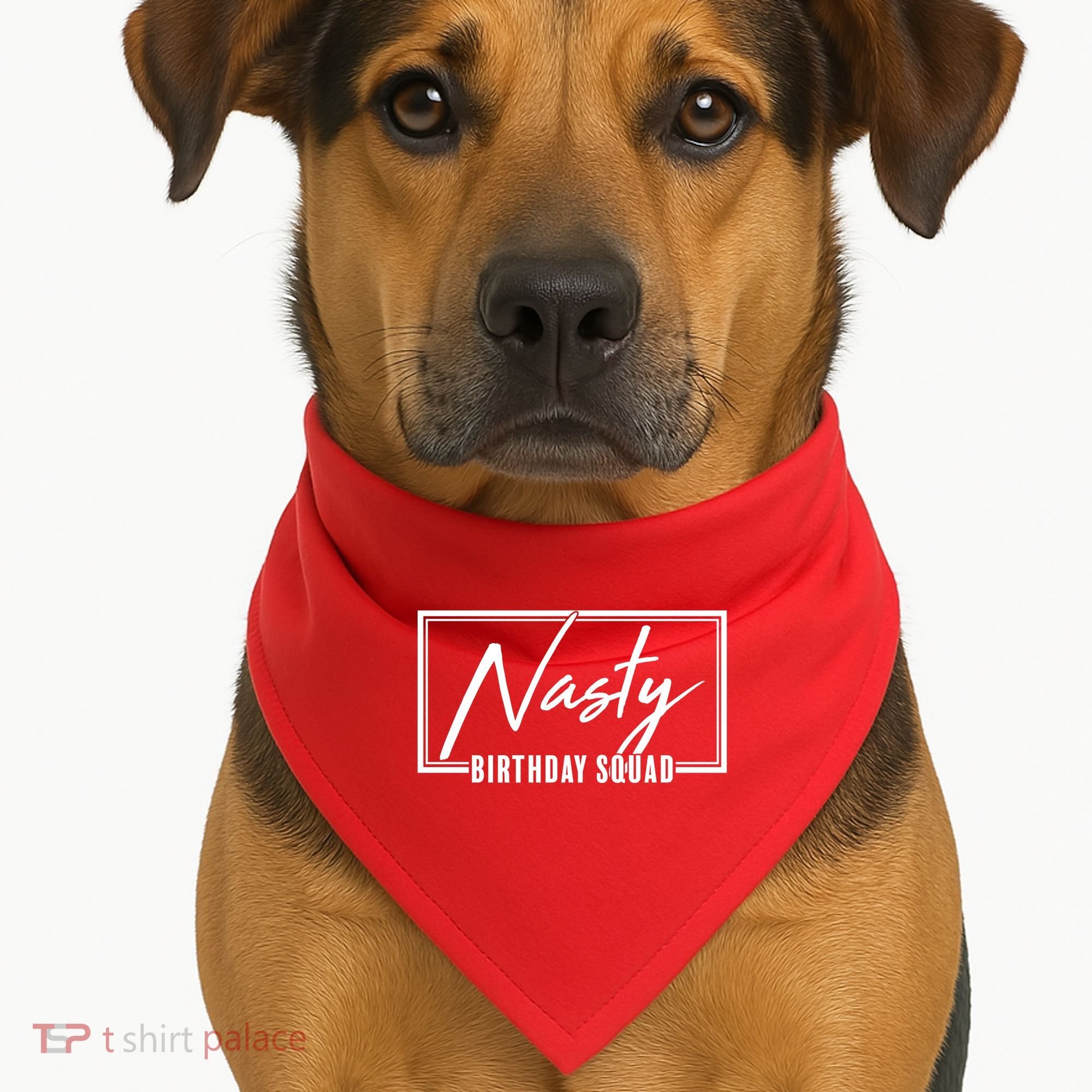 Funny Nasty Birthday Squad Matching Group Shirts USA-Made Doggie Bandana
