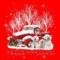Feliz Navidog Bichon Frise Christmas Dog Lovers Feliz Navidad Santa Hat thumb 1