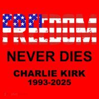 Freedom Never Dies Charlie Kirk Santa Hat thumb 1