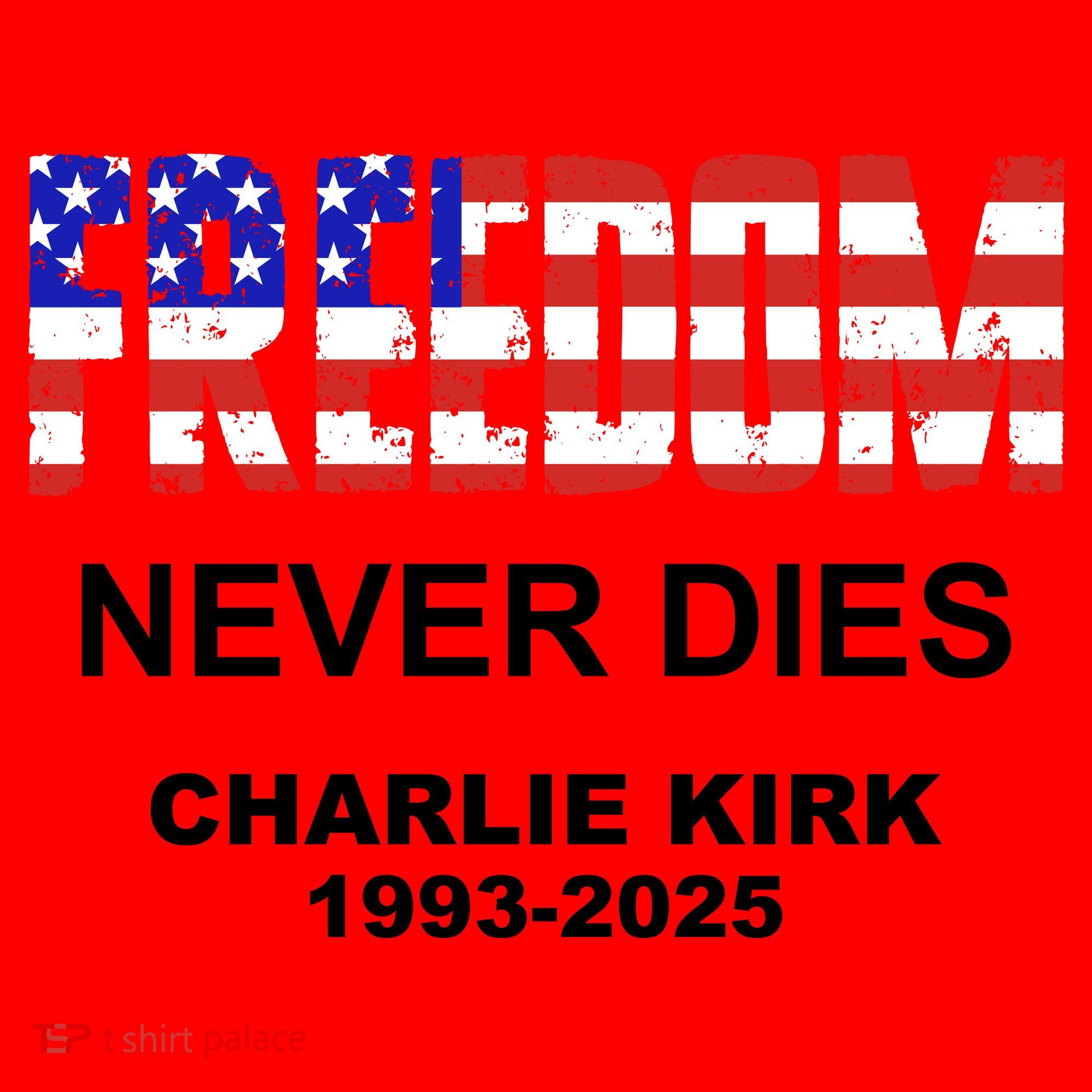 Freedom Never Dies Charlie Kirk Santa Hat