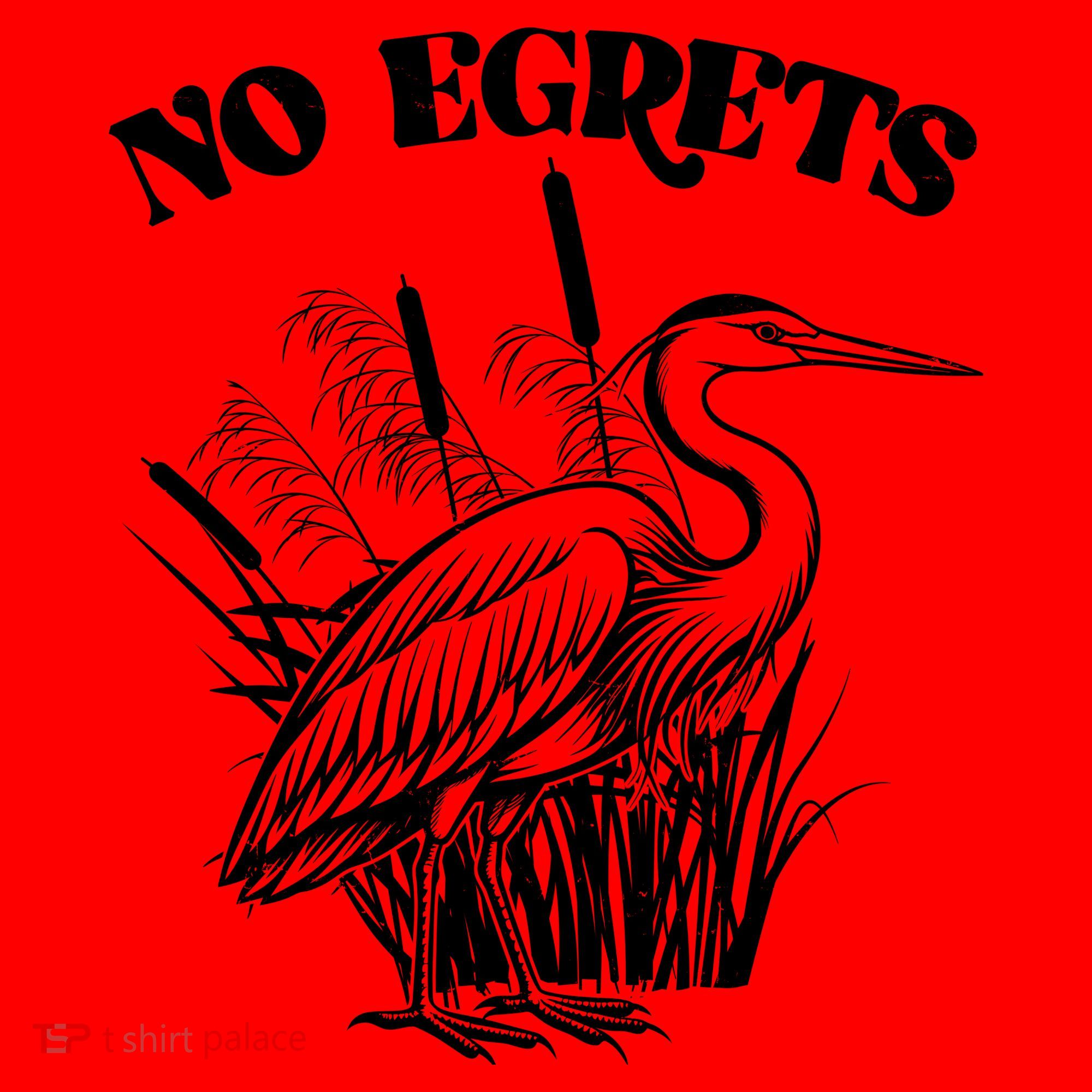 Funny No Egrets No Regrets Bird Pun Santa Hat