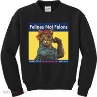 Felines Not Felons Childless Cat Lady Voting Kamala Harris Kids Sweatshirt thumb 0