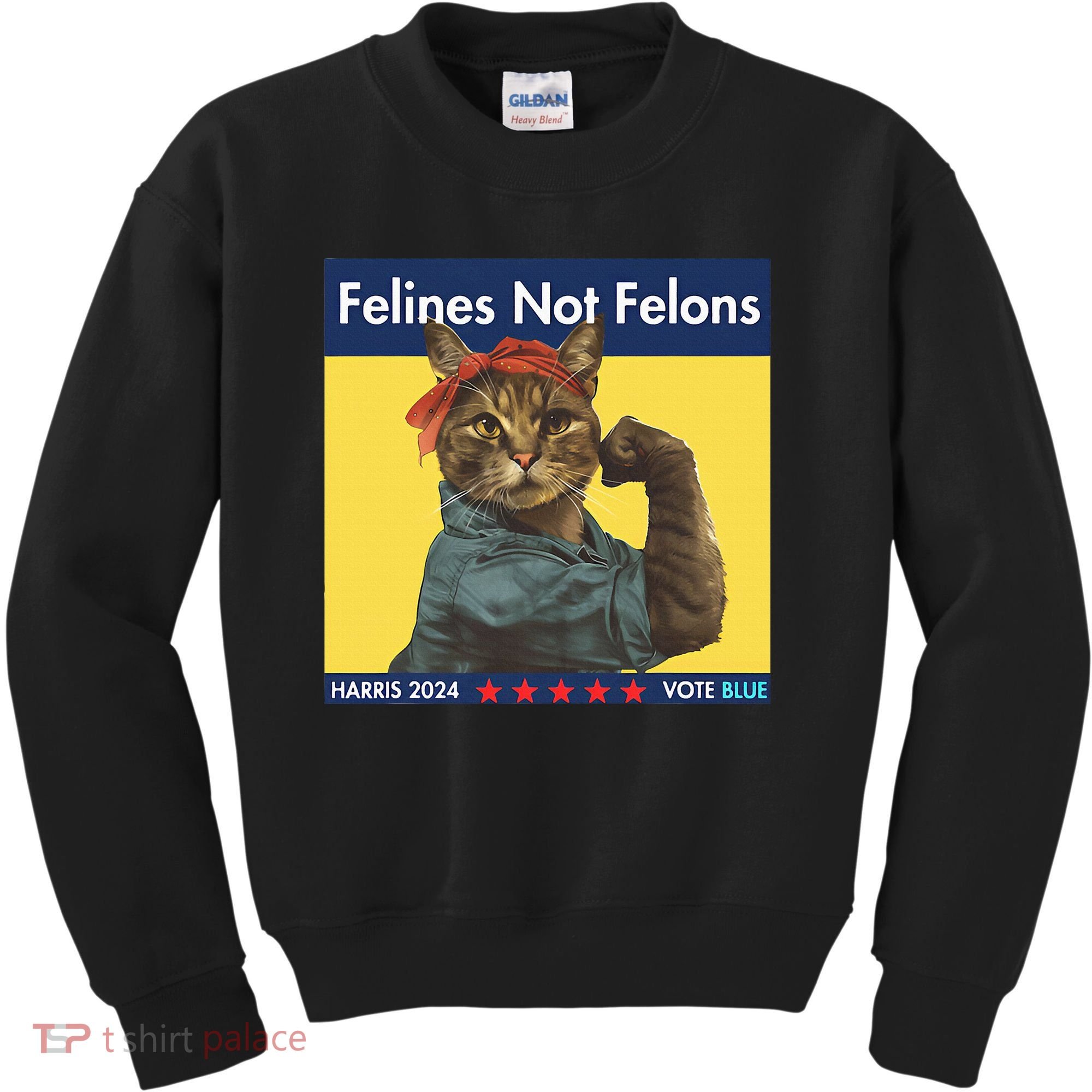 Felines Not Felons Childless Cat Lady Voting Kamala Harris Kids Sweatshirt