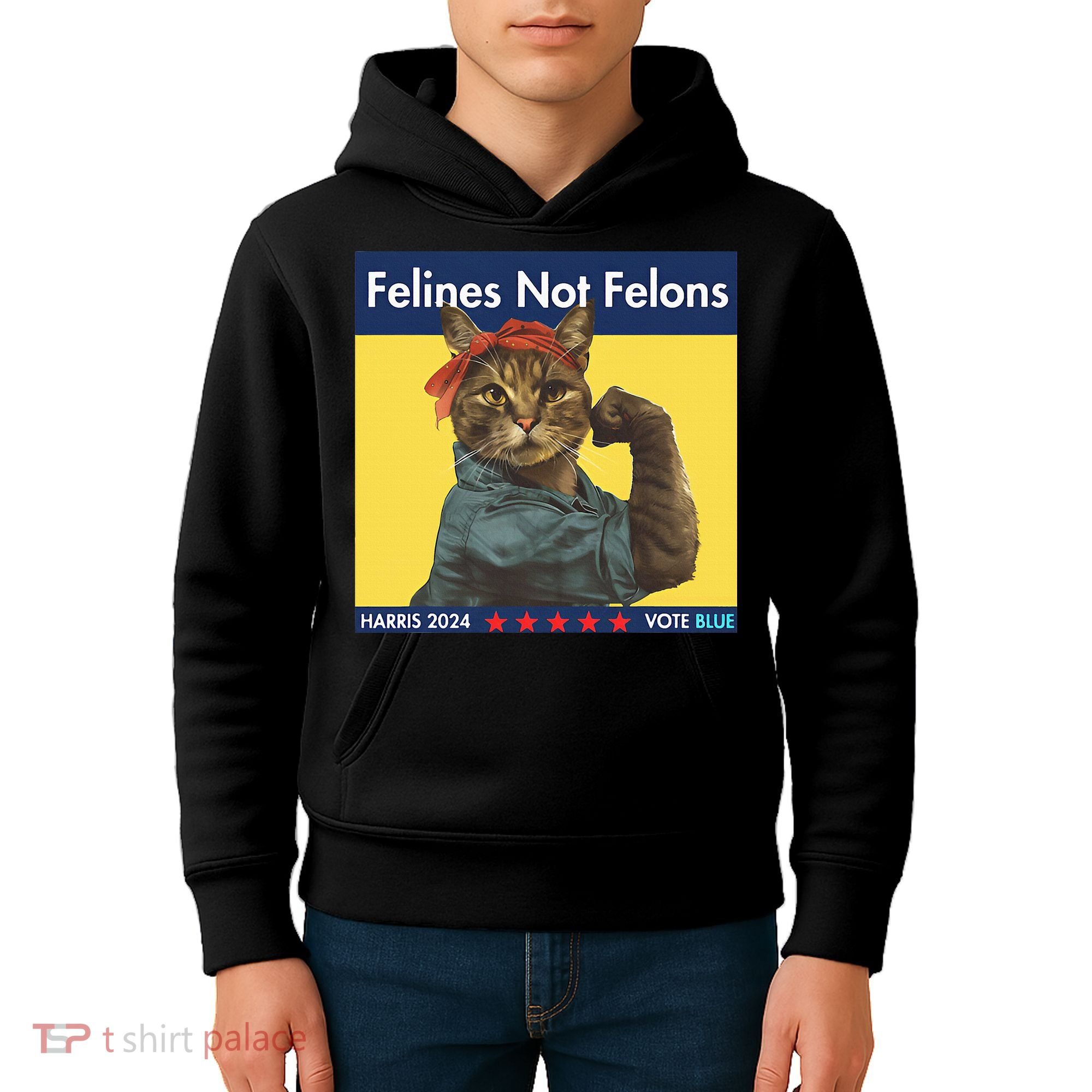 Felines Not Felons Childless Cat Lady Voting Kamala Harris Kids Hoodie