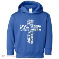 Fear Not For Yeshua The Lion Of Judah Has Triumphed Gift Toddler Hoodie thumb 0