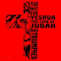 Fear Not For Yeshua The Lion Of Judah Has Triumphed Gift Santa Hat thumb 1
