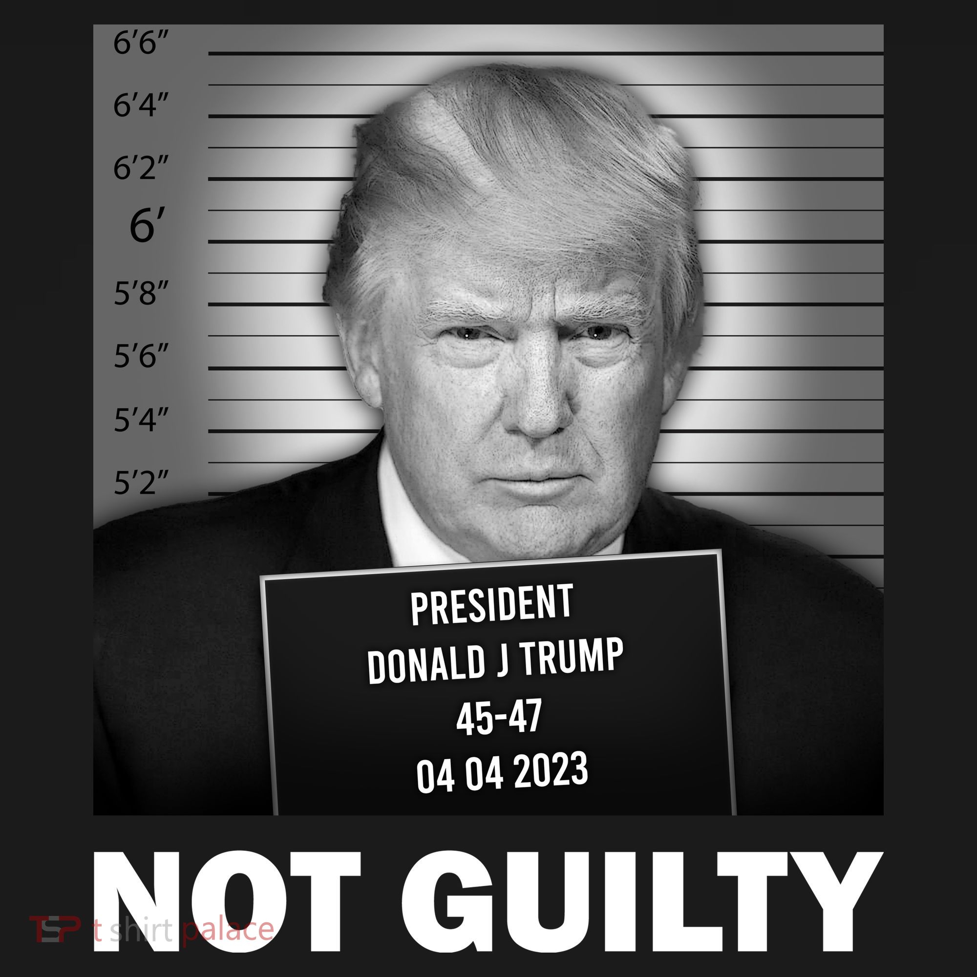 Funny Not Guilty Trump Mug Shot Coaster