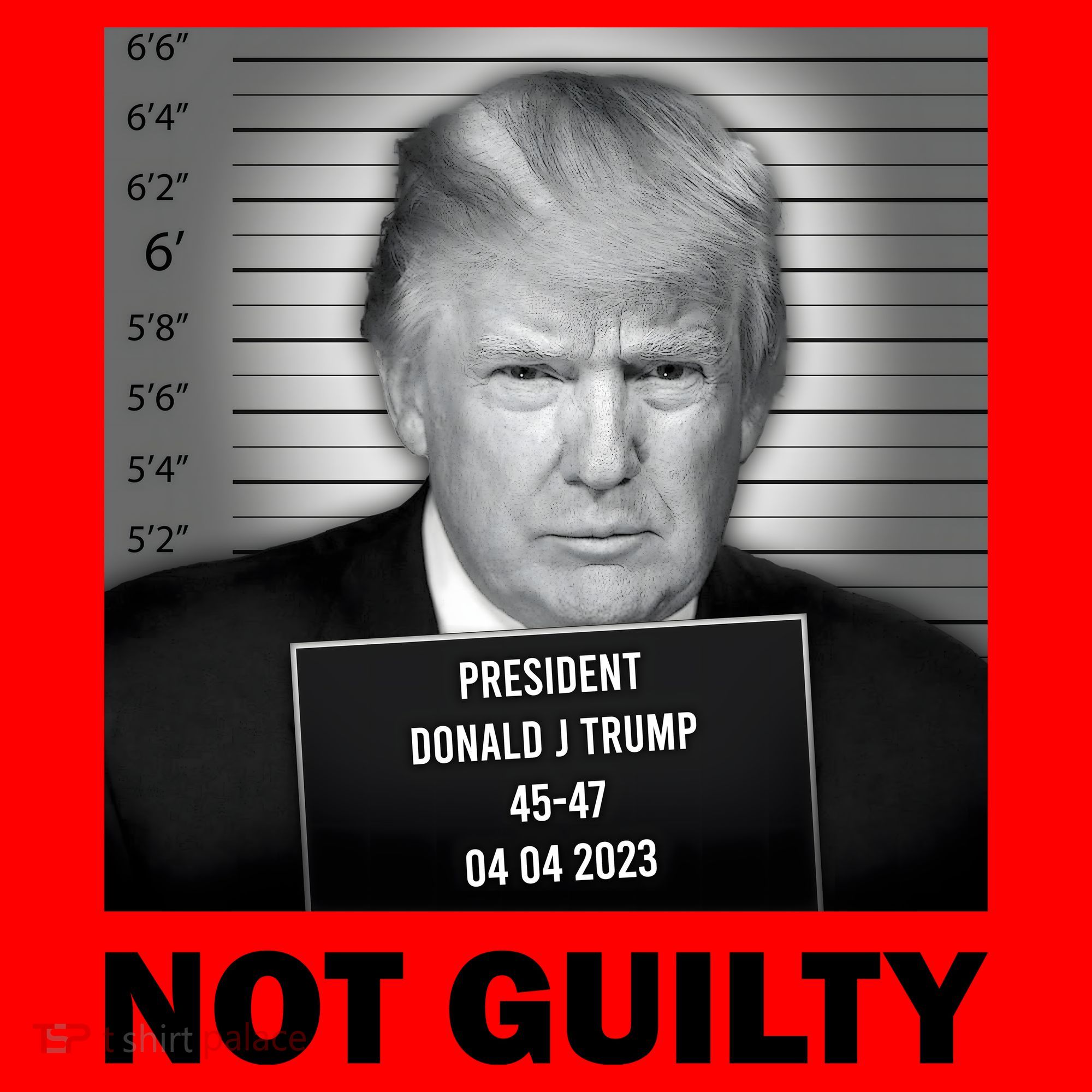 Funny Not Guilty Trump Mug Shot Santa Hat