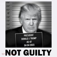 Funny Not Guilty Trump Mug Shot Apron thumb 3