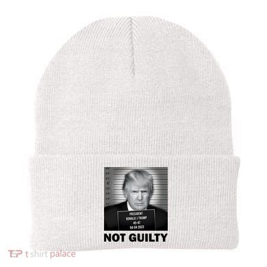 Funny Not Guilty Trump Mug Shot Beanie