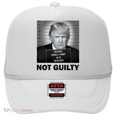 Funny Not Guilty Trump Mug Shot Hat