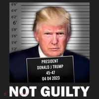 Funny Not Guilty Donald Trump Mug Shot Beanie thumb 2