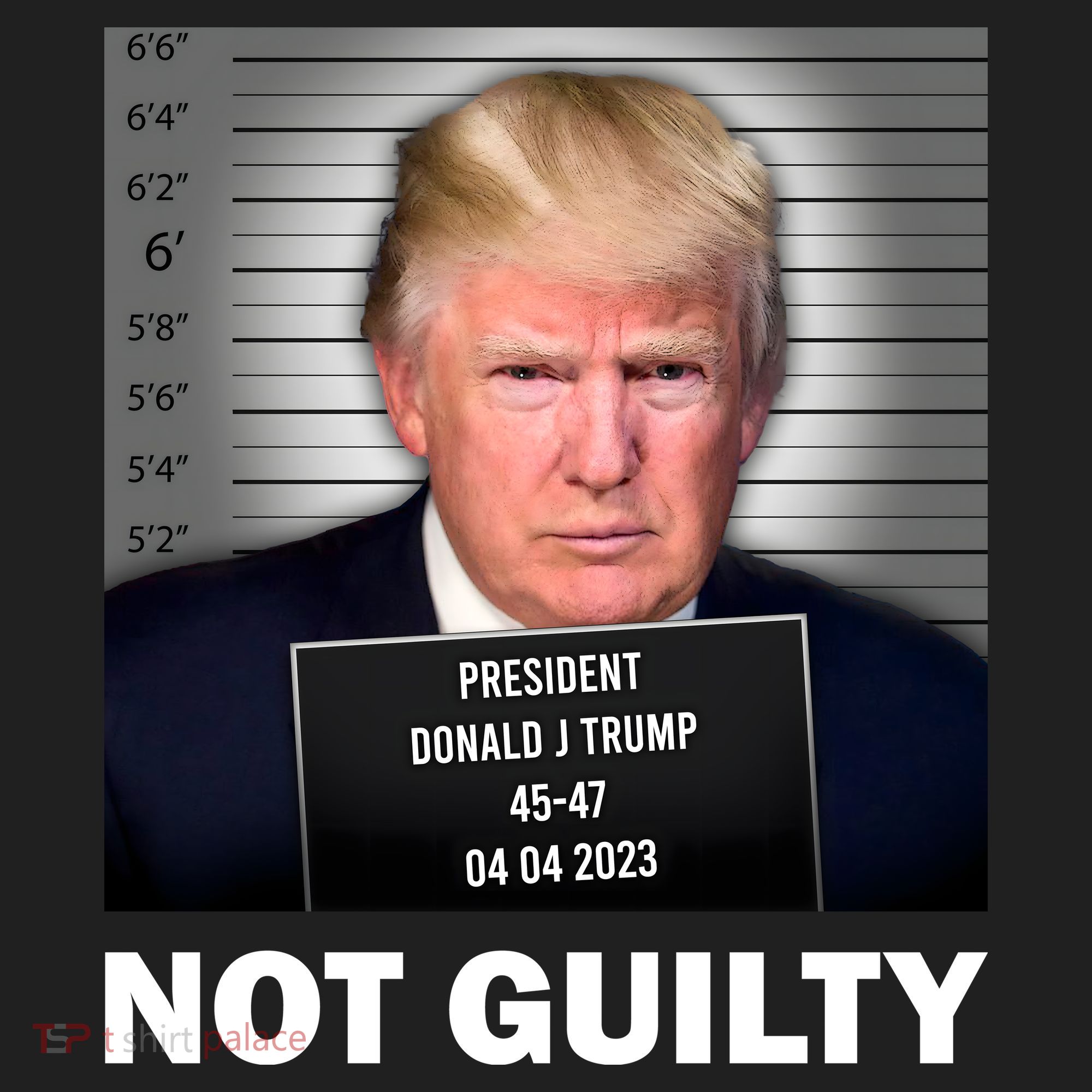 Funny Not Guilty Donald Trump Mug Shot Beanie
