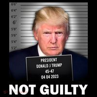 Funny Not Guilty Donald Trump Mug Shot Women's Hoodie thumb 2