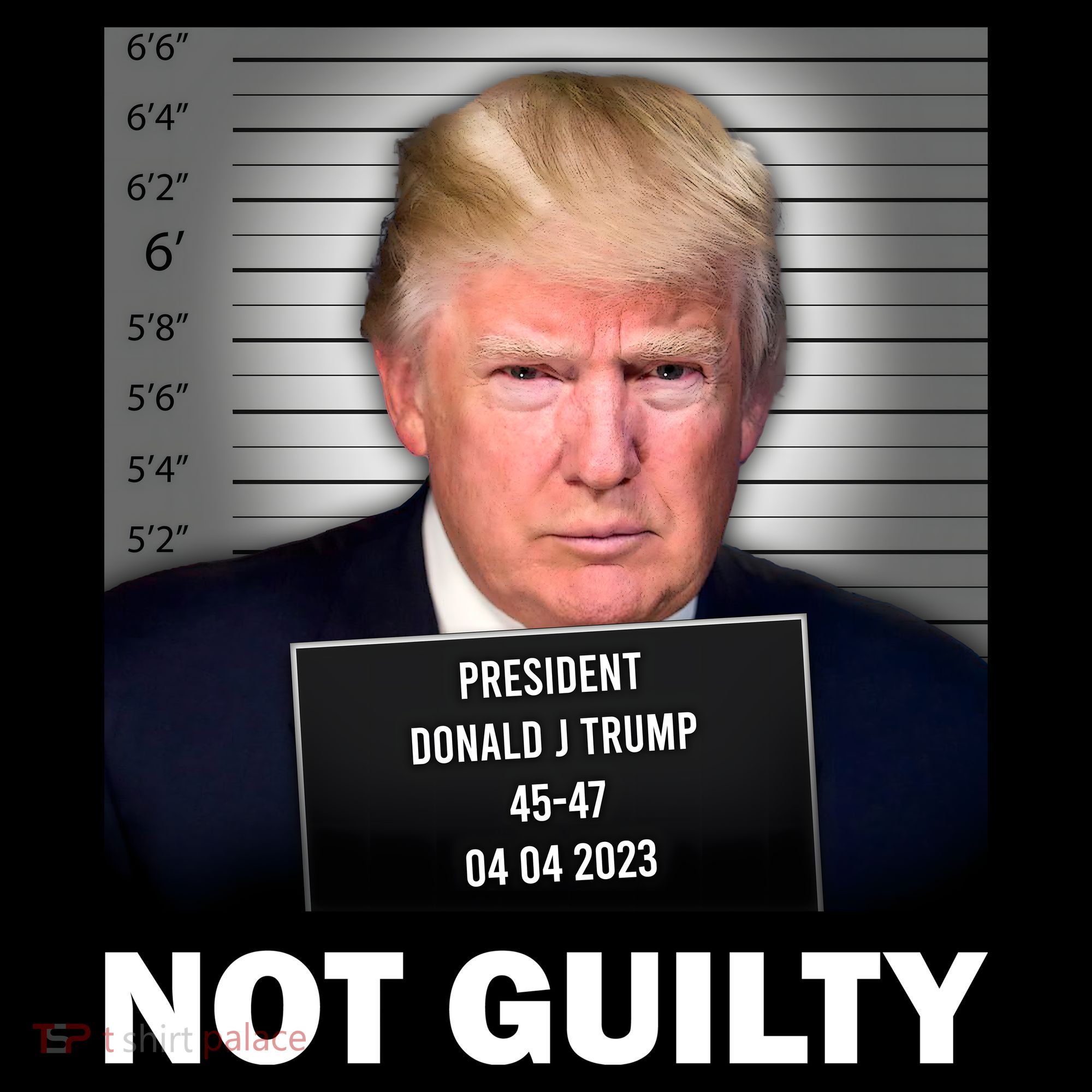 Funny Not Guilty Donald Trump Mug Shot Women's Hoodie