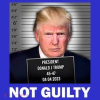 Funny Not Guilty Donald Trump Mug Shot Women's Tank Top thumb 5
