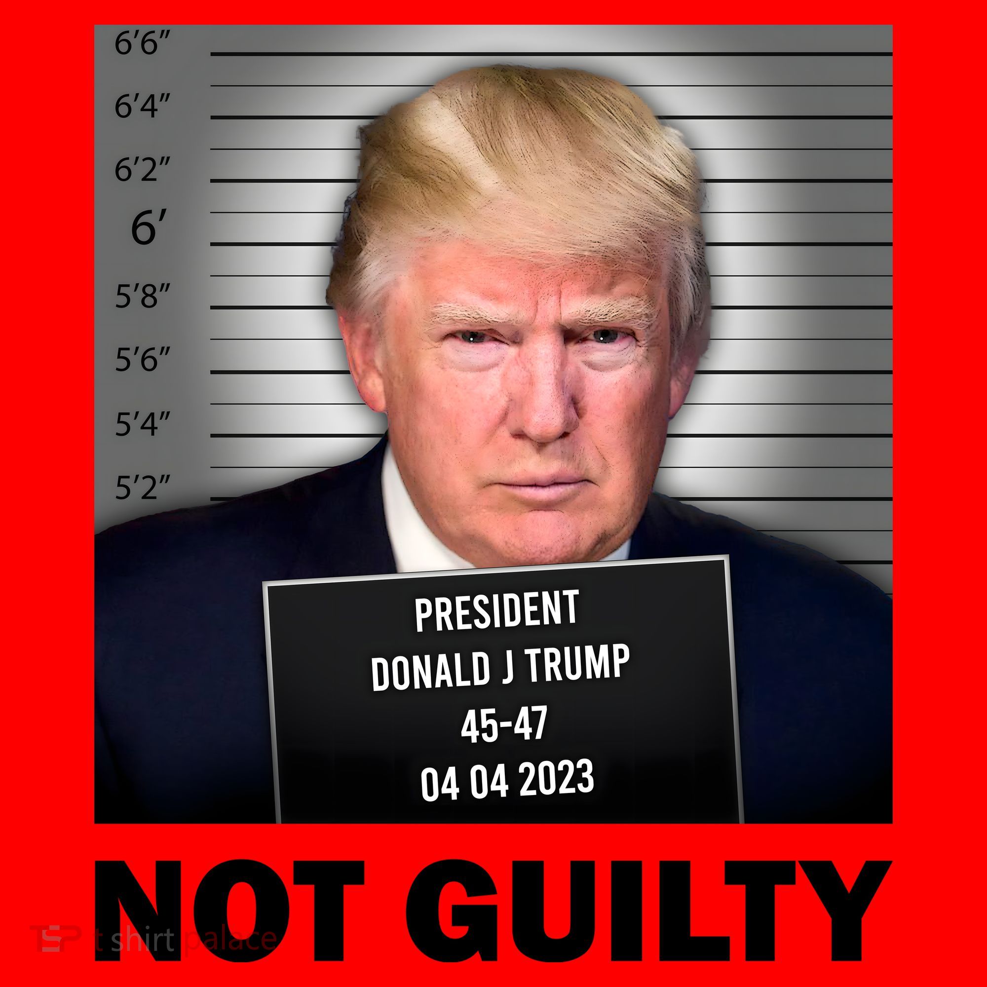 Funny Not Guilty Donald Trump Mug Shot Santa Hat