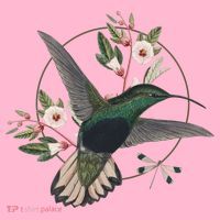 Floral Nature Hummingbird Coaster thumb 2