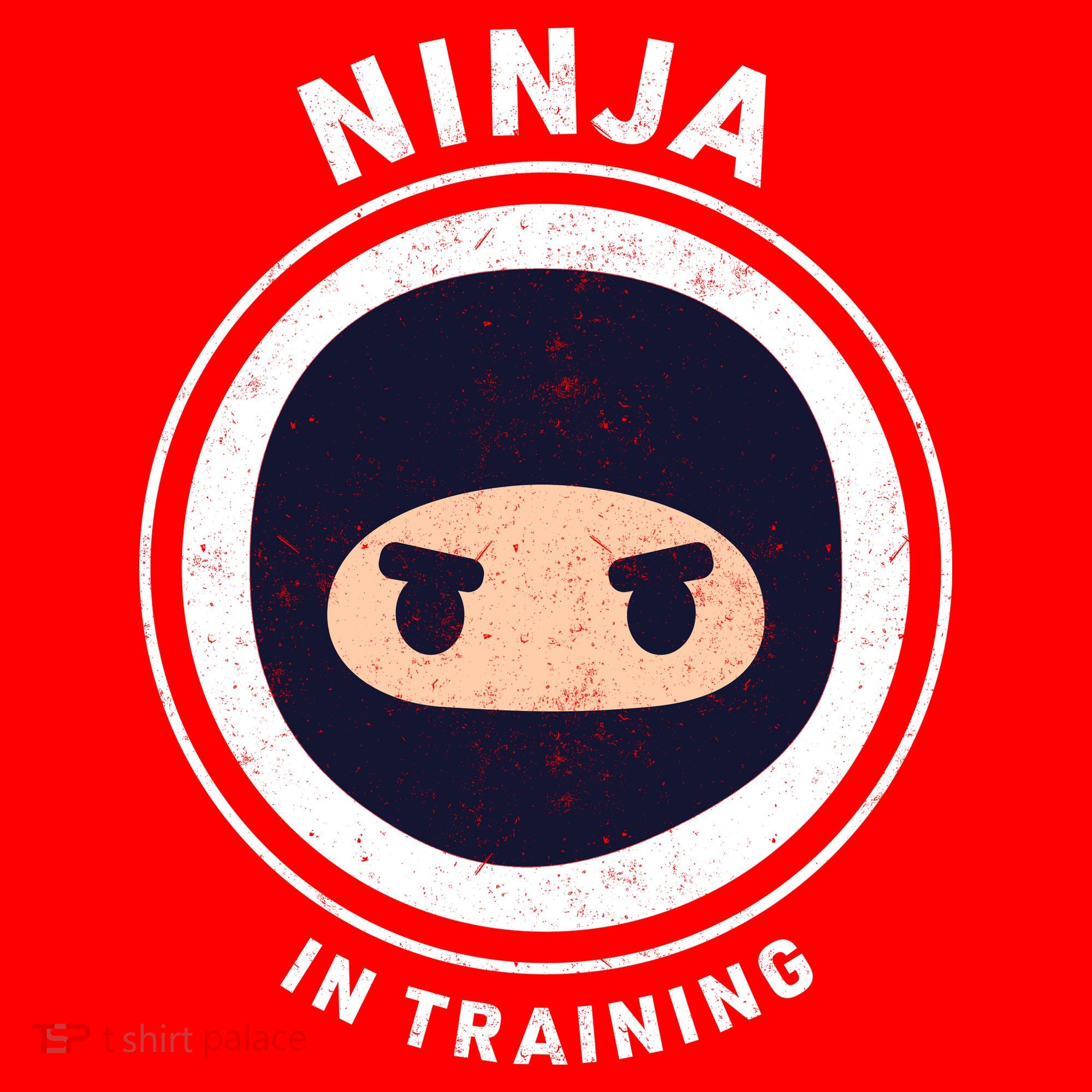 Funny Ninja In Training 1 Santa Hat
