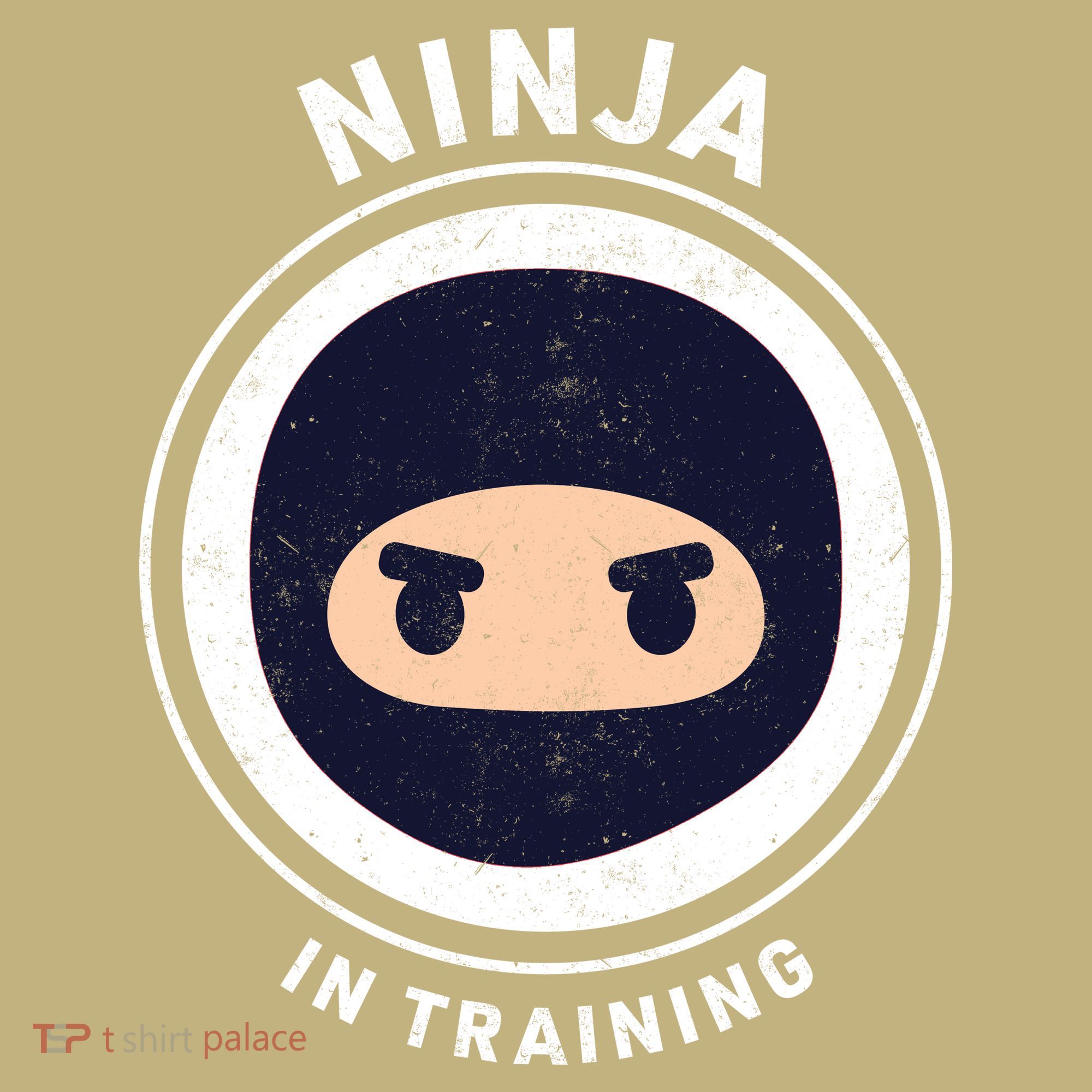 Funny Ninja In Training 1 Hoodie