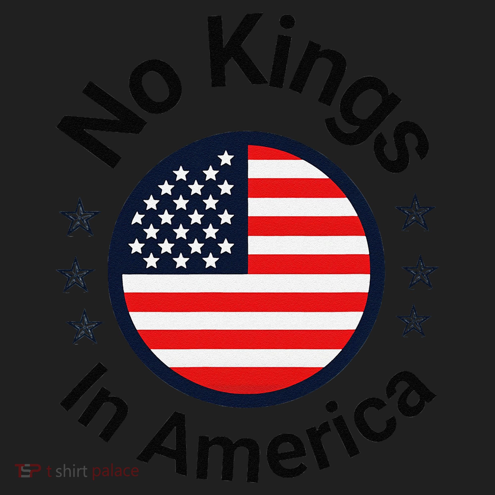 Funny No Kings In America Flag Protest Save Democracy Beanie