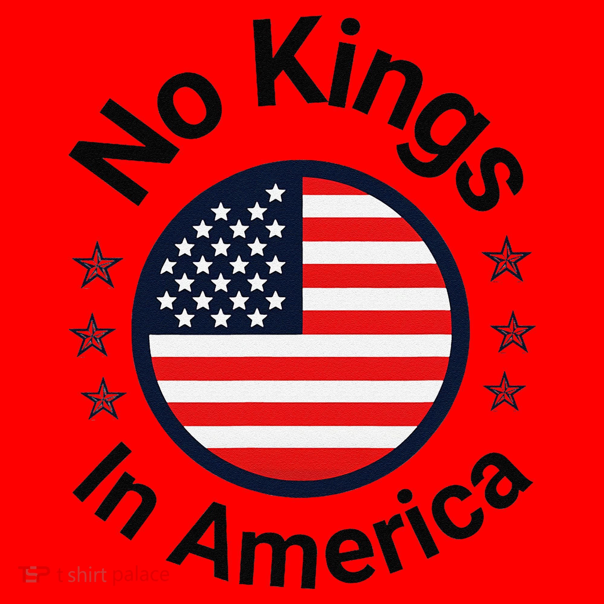 Funny No Kings In America Flag Protest Save Democracy Santa Hat