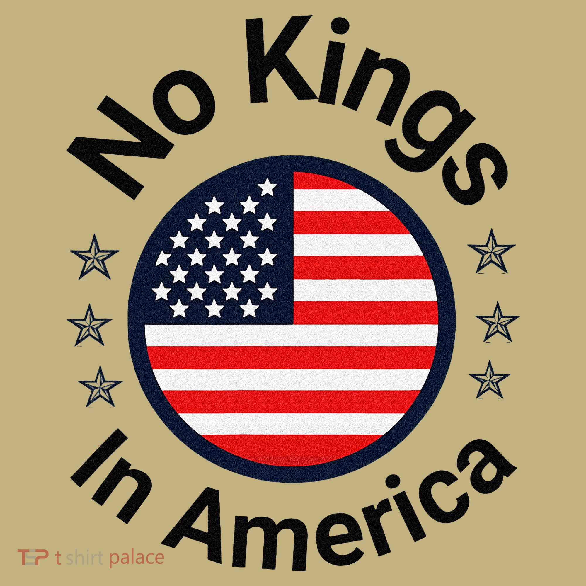 Funny No Kings In America Flag Protest Save Democracy Sweatshirt