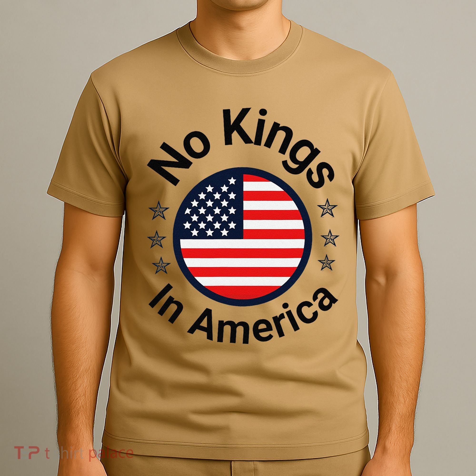 Funny No Kings In America Flag Protest Save Democracy T-Shirt