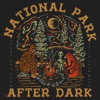 Funny National Park After Dark Gift Beanie thumb 2