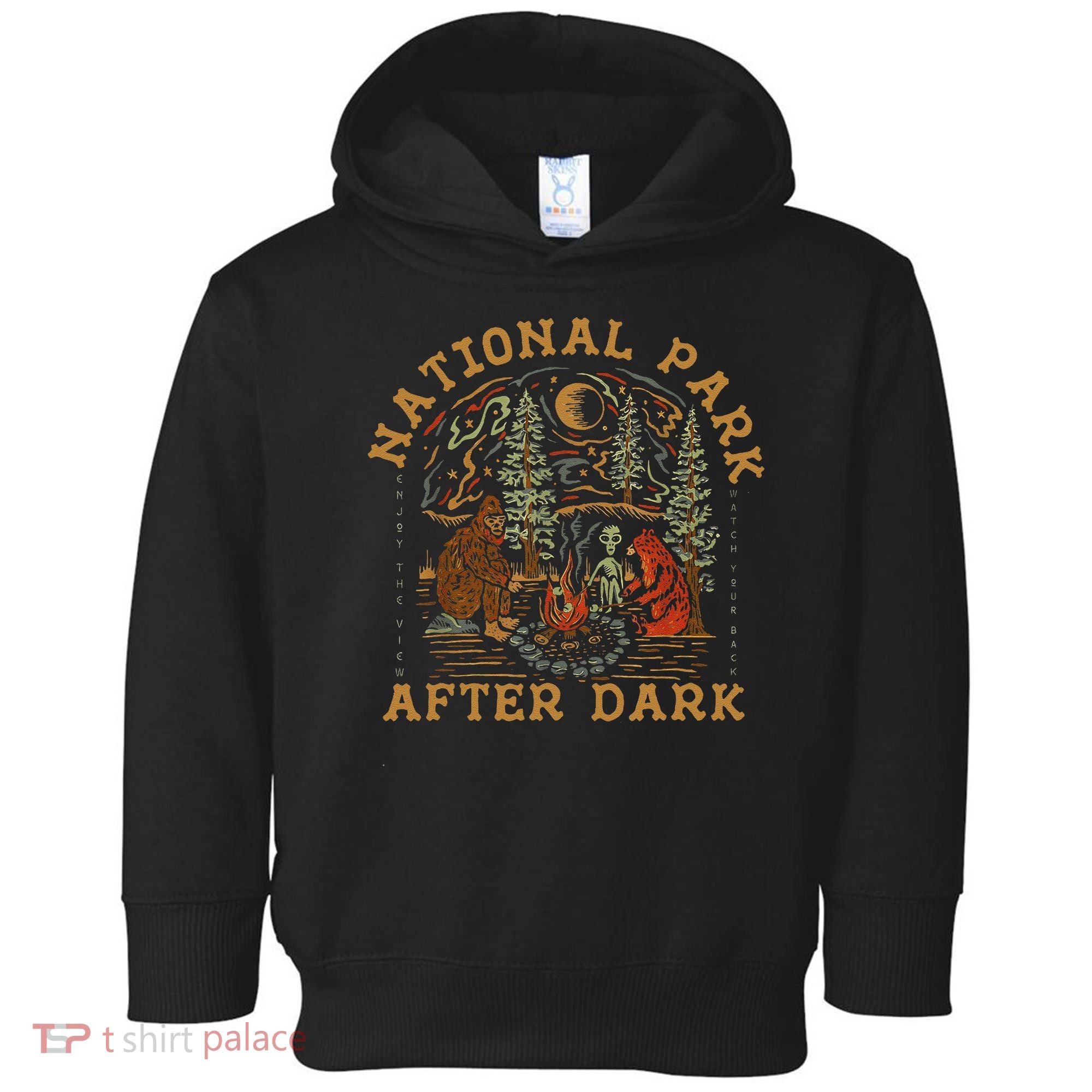 Funny National Park After Dark Gift Toddler Hoodie