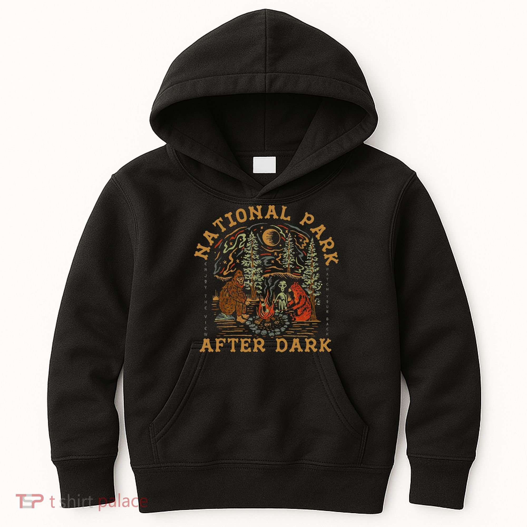 Funny National Park After Dark Gift Kids Hoodie