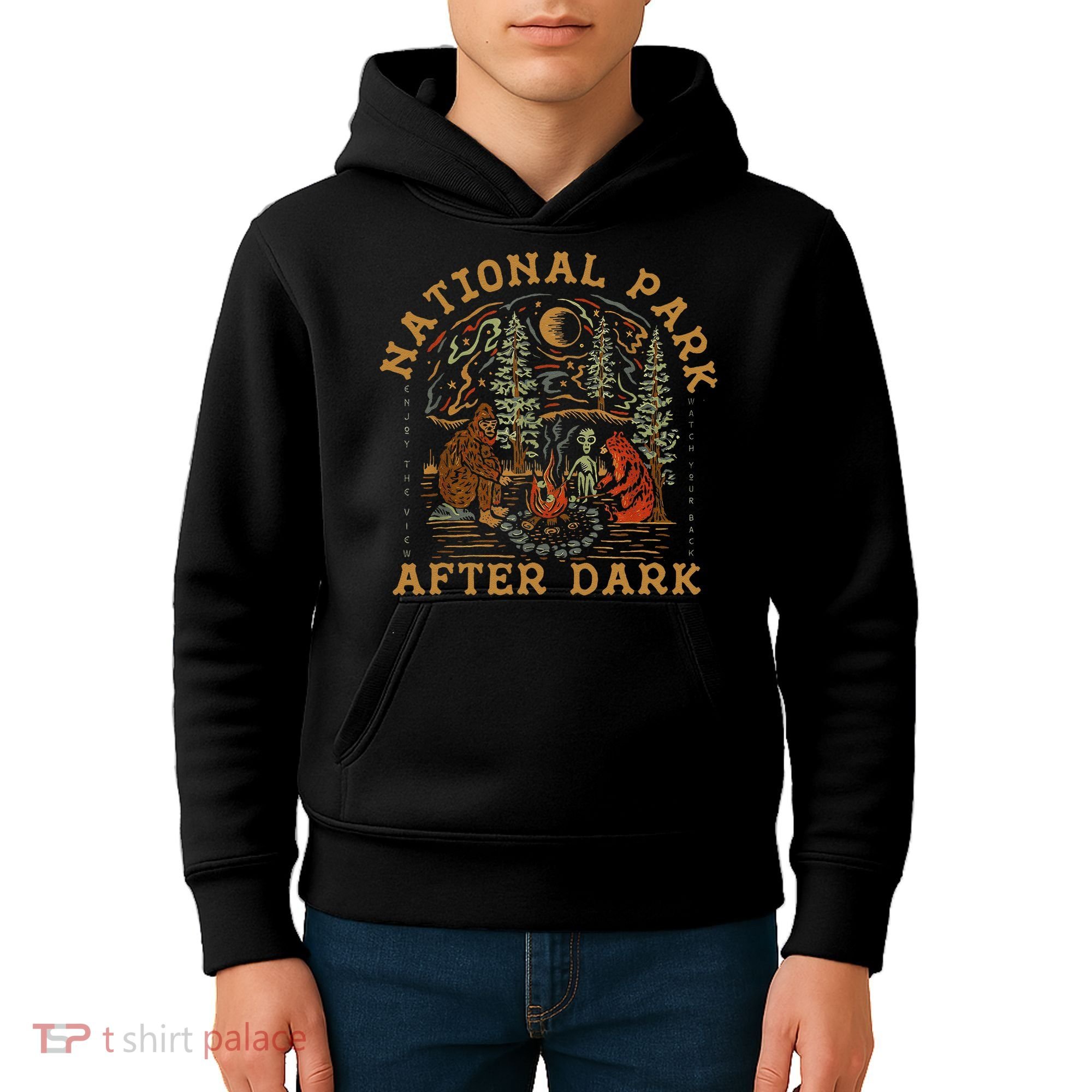 Funny National Park After Dark Gift Kids Hoodie