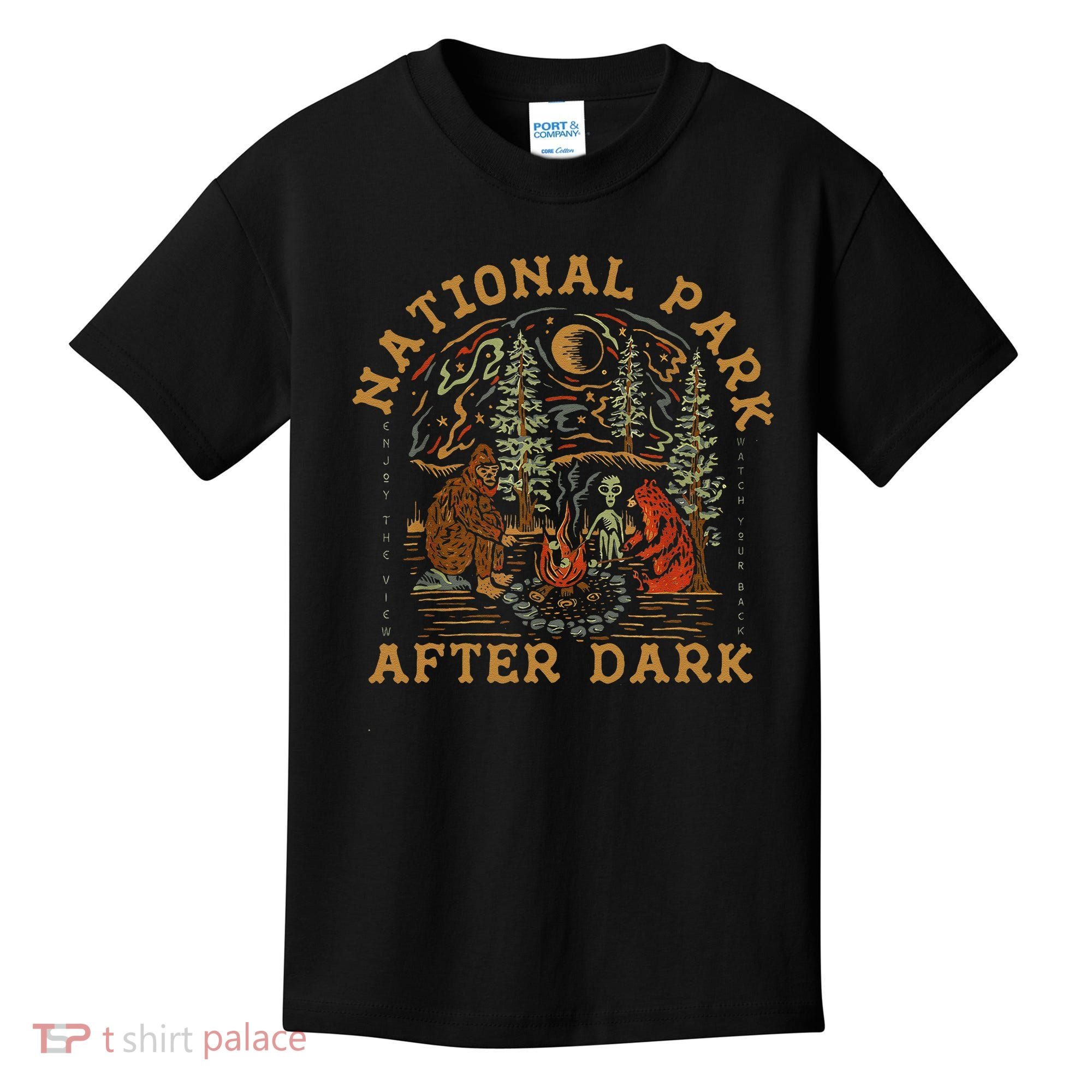 Funny National Park After Dark Gift Kids T-Shirt