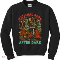 Funny National Park After Dark Kids Sweatshirt thumb 0