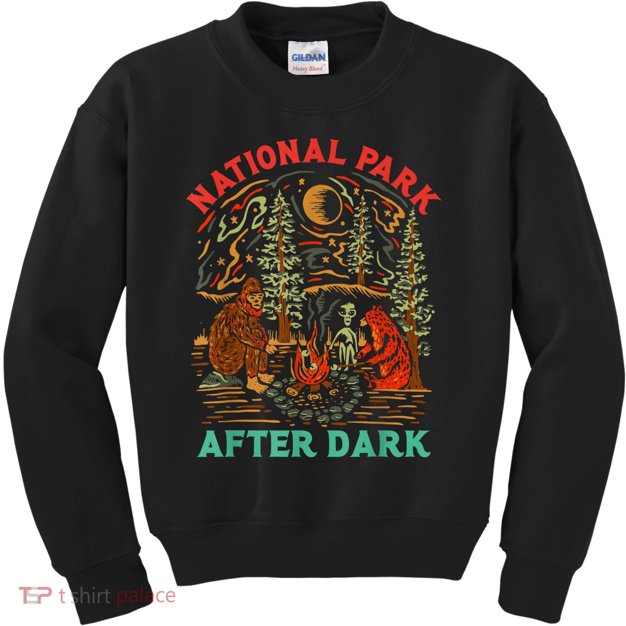 Funny National Park After Dark Kids Sweatshirt