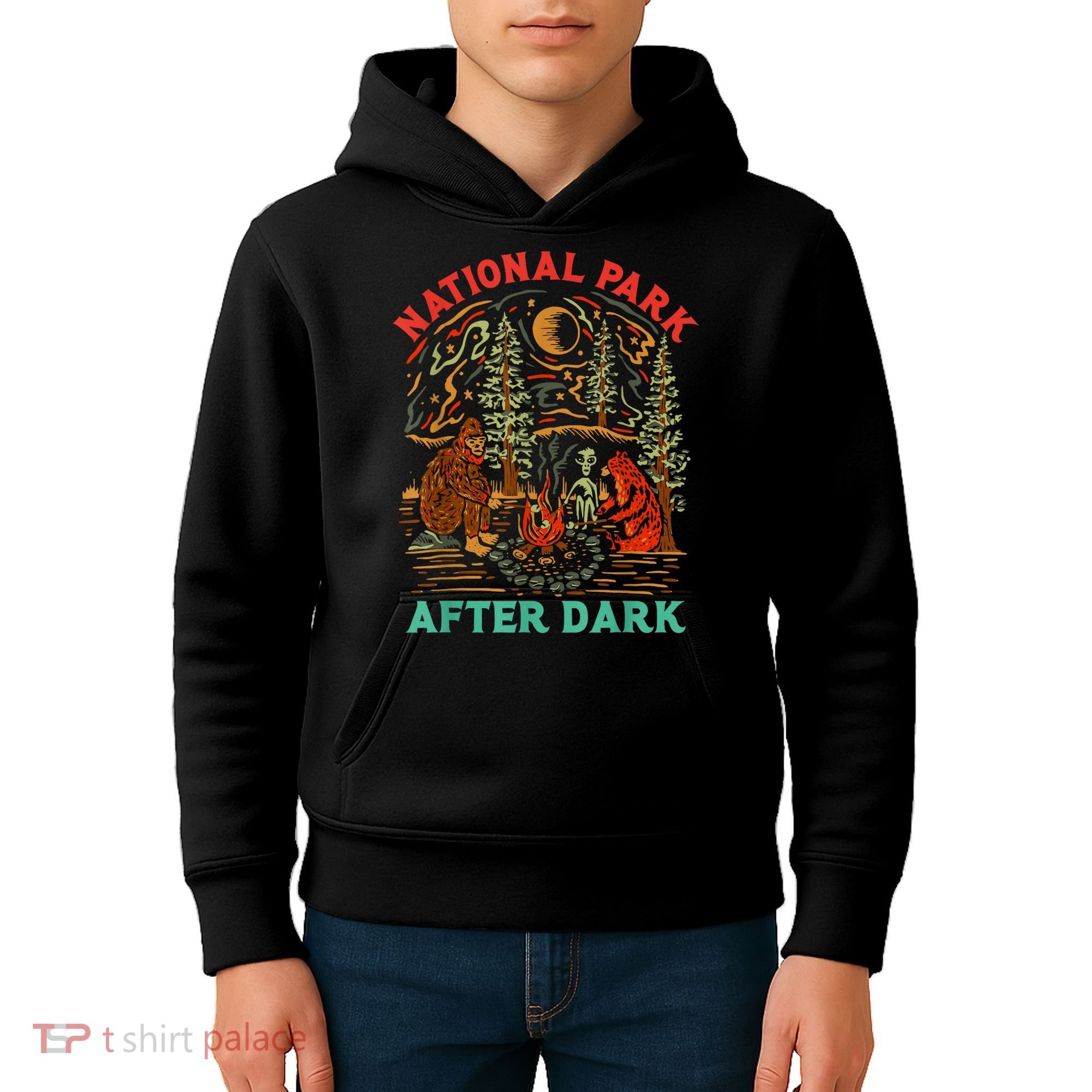 Funny National Park After Dark Kids Hoodie