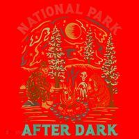 Funny National Park After Dark Santa Hat thumb 1
